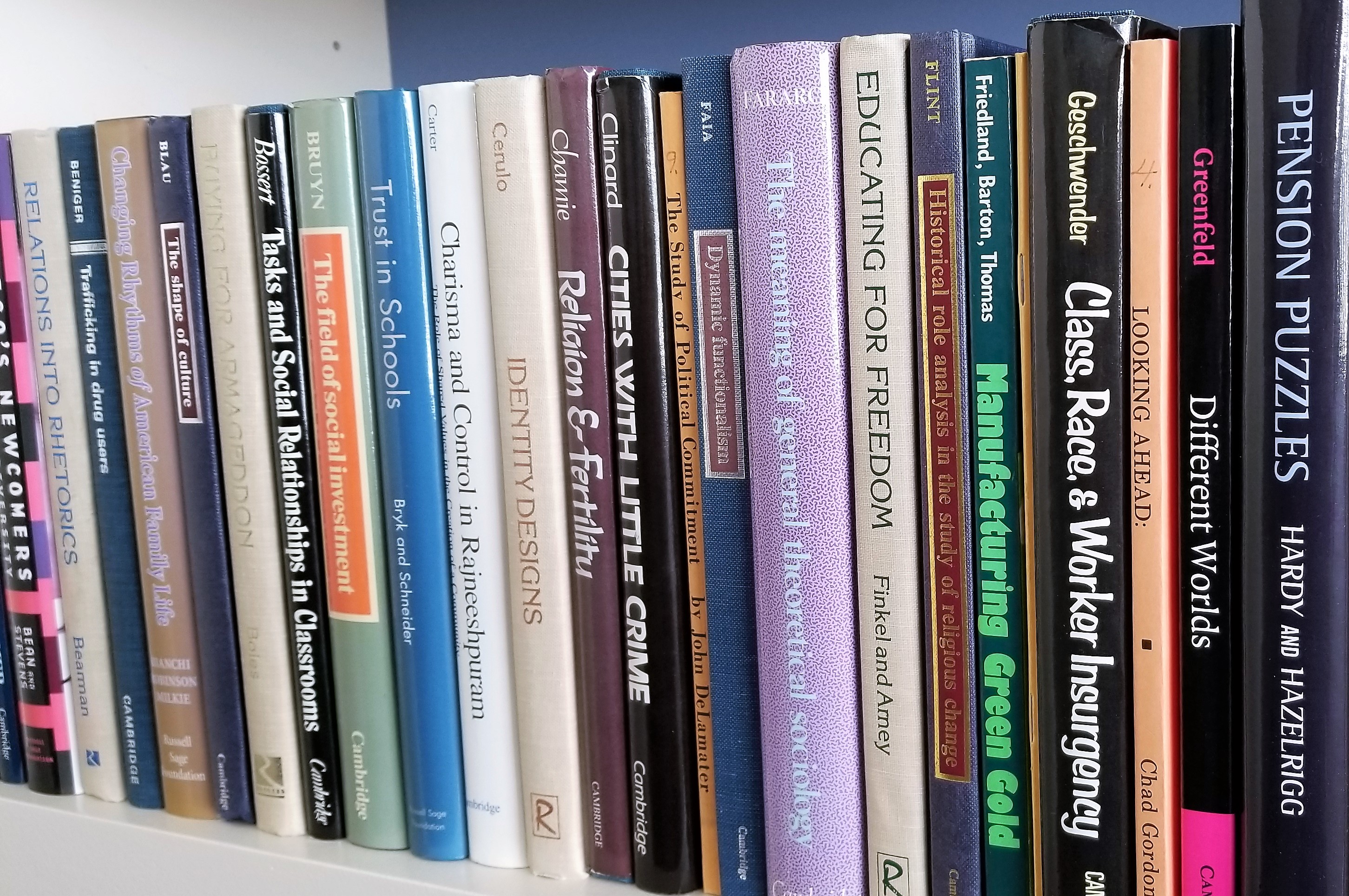 brief history of sociology