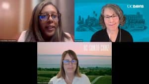 Equitable Review for Tenure and Promotion
