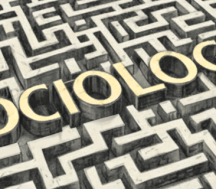 a maze with the word "sociology" at its center
