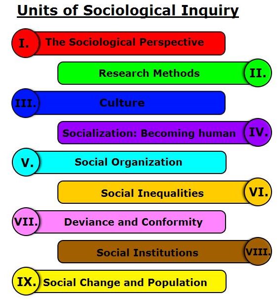 sociological school