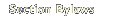 Section Bylaws